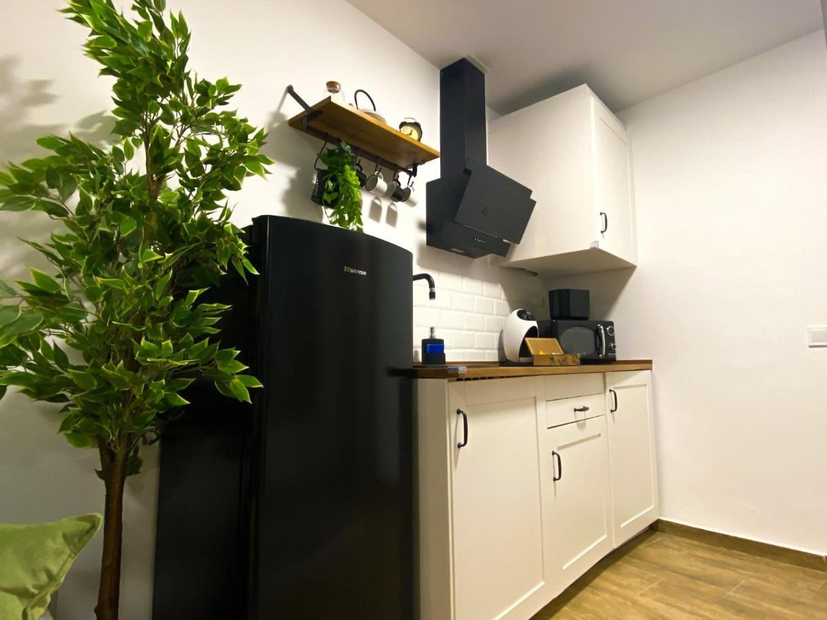 Apartamento Con Cueva Romana/roman Cave * Early Check-in Toledo